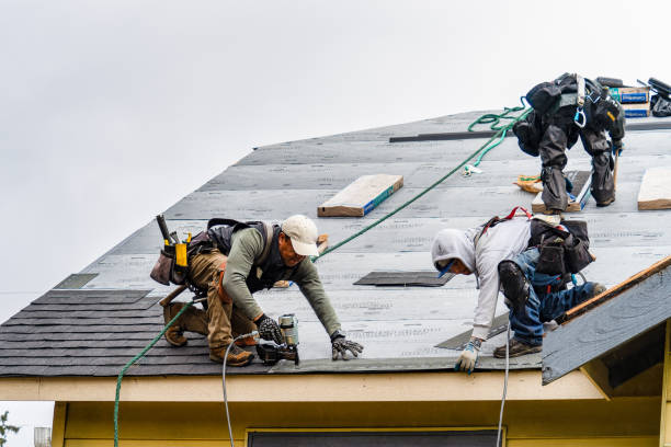 Professional Gutter Installation technician working in Smith, NV